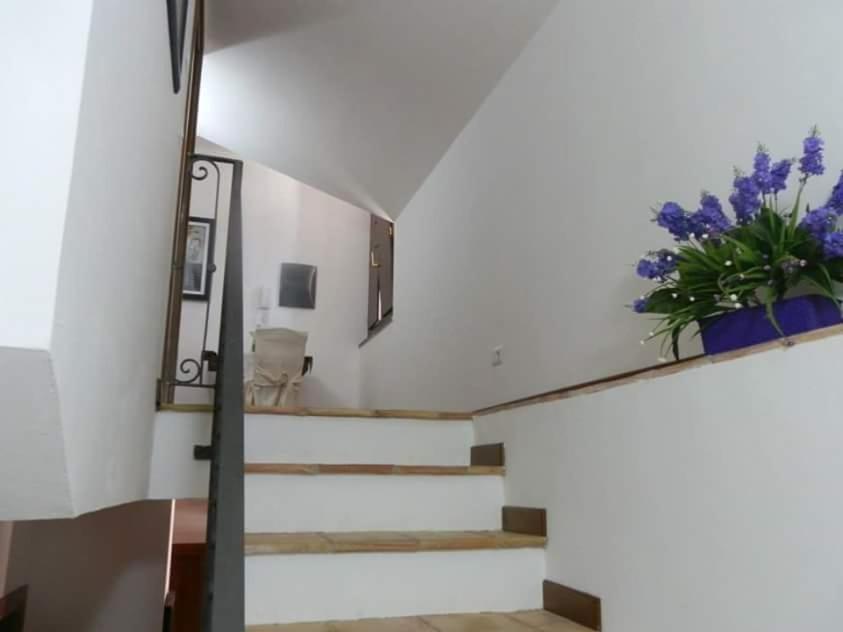 Agriturismo Ai Monaci Montano Antilia Eksteriør bilde